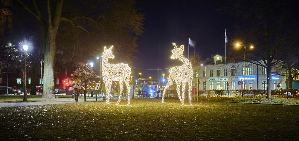 Västerås stad 15-268, Invigning julbelysning, nya rådjur