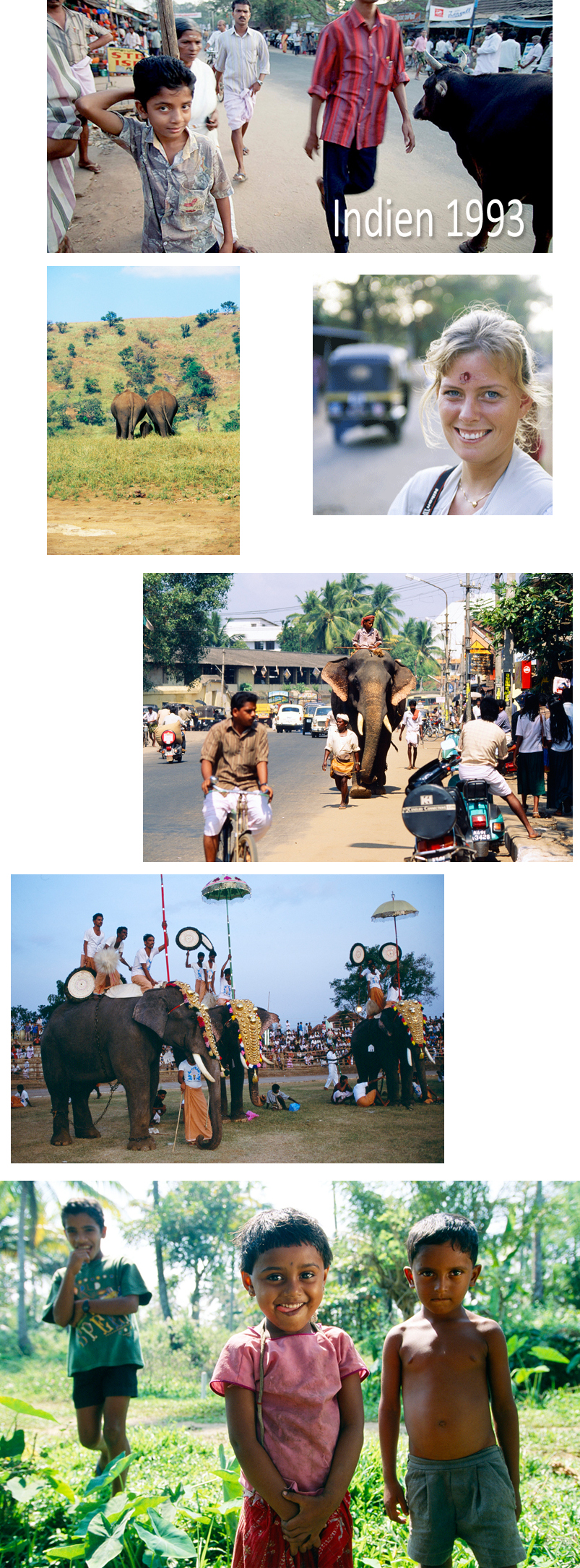 indien93