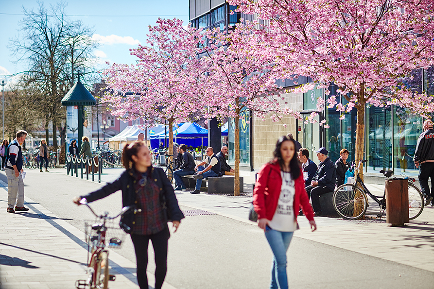 Västerås visar sitt bästa för Sveriges Innovationsriksdag